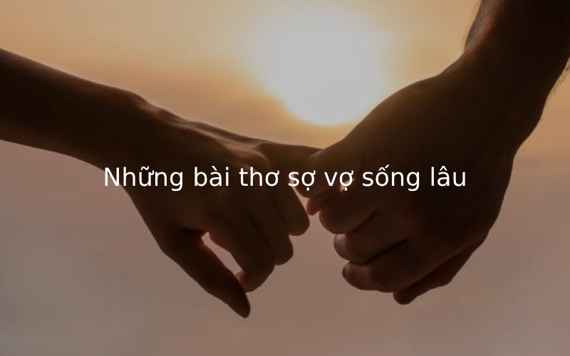 Những bài thơ sợ vợ sống lâu